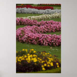 Pôster Áustria, Viena. Barroco de Maria Teresa