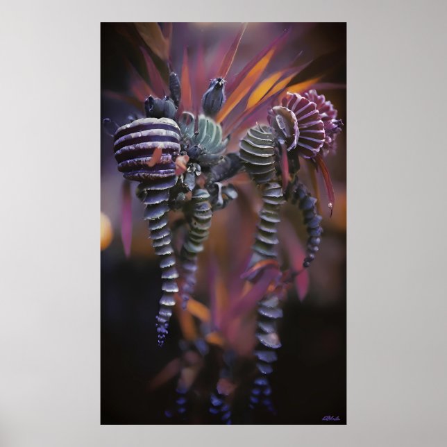 Poster Autêntico (Frente)