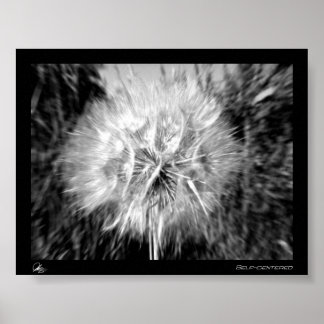 Pôster Autocentrado