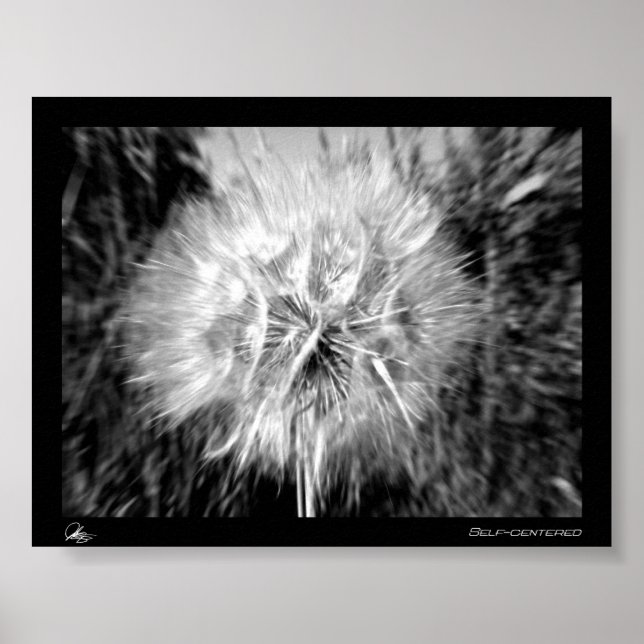 Pôster Autocentrado (Frente)