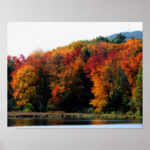 Pôster Autumn Foliage Por Pond Orton Art