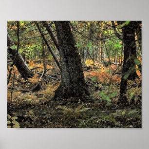 Poster Autumn forest scene              