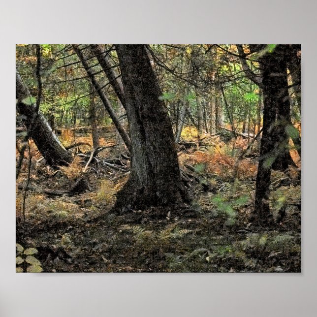 Poster Autumn forest scene               (Frente)