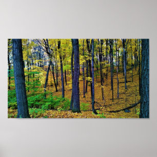 Poster Autumn Forest, West Bend, Wisconsin