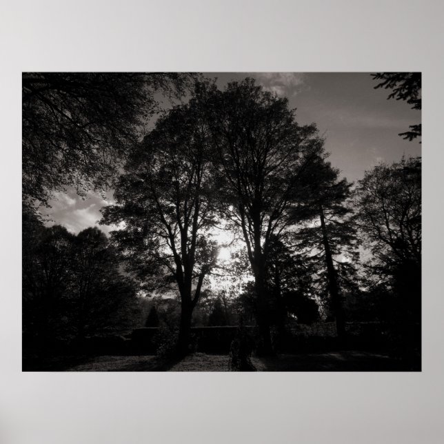 Pôster Autumn Landscape Bute Park Cardiff (Frente)