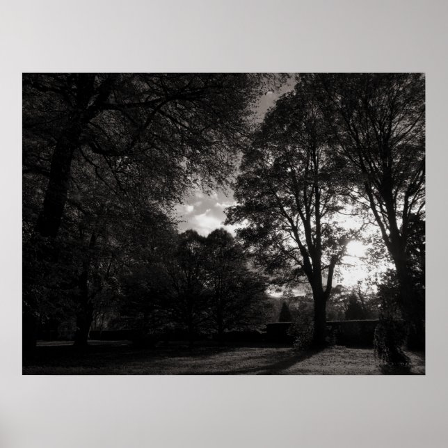 Poster Autumn Landscape Bute Park Cardiff (Frente)