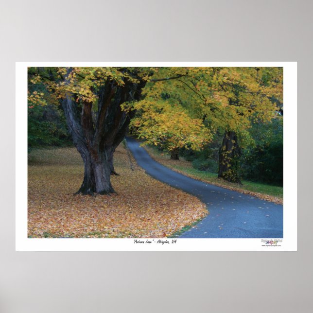 Pôster Autumn Lane (Frente)