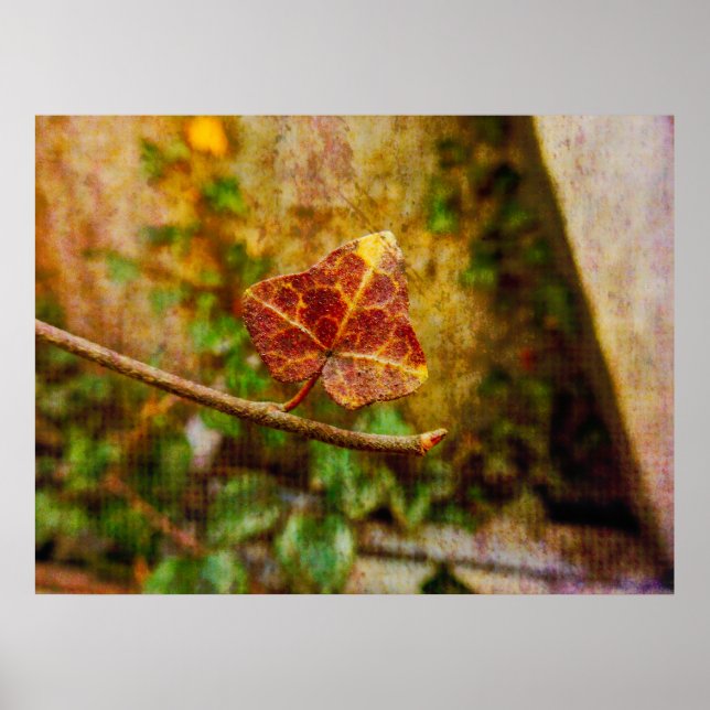 Poster Autumn Leaf Fine Art - Presente Inspirado (Frente)
