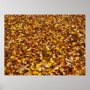 Poster Autumn Leaves Abstract