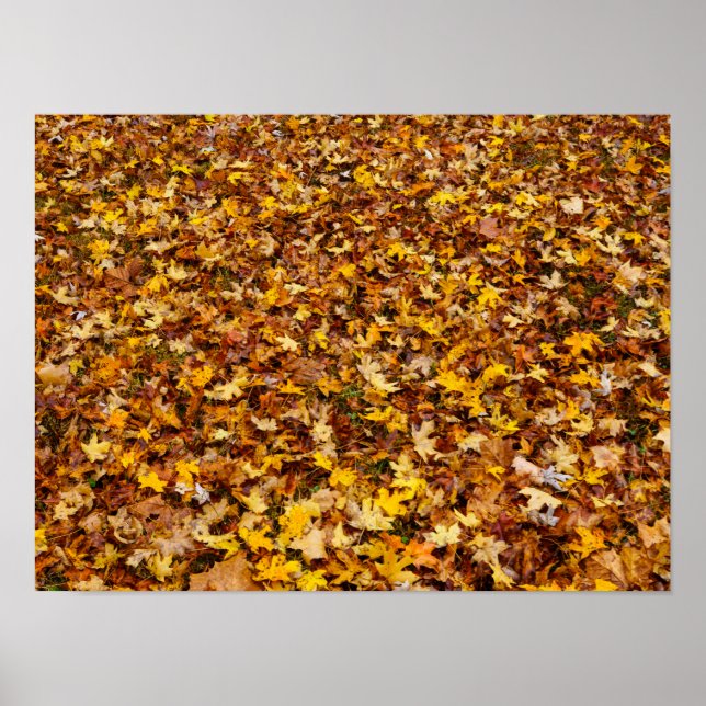Poster Autumn Leaves Abstract (Frente)
