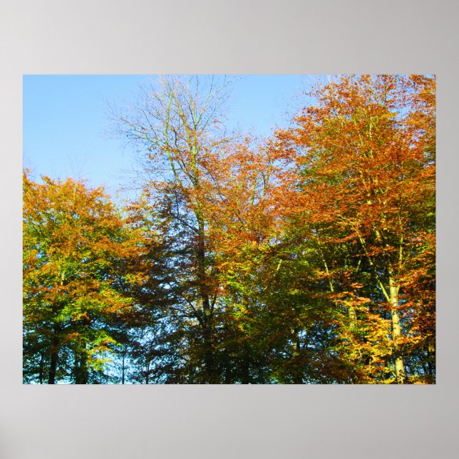 Poster Autumn Leaves & Blue Skies - Personalised (Frente)