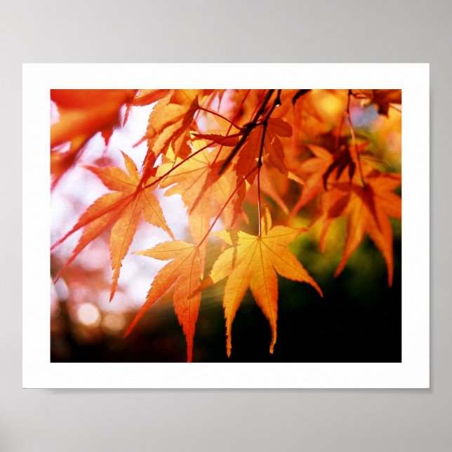 Poster Autumn Leaves em Madeira japonesa (Frente)