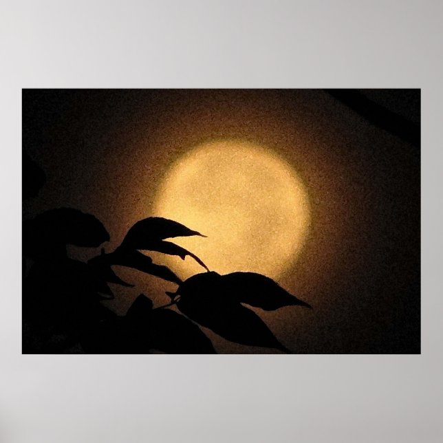 Poster Autumn Moon (Frente)