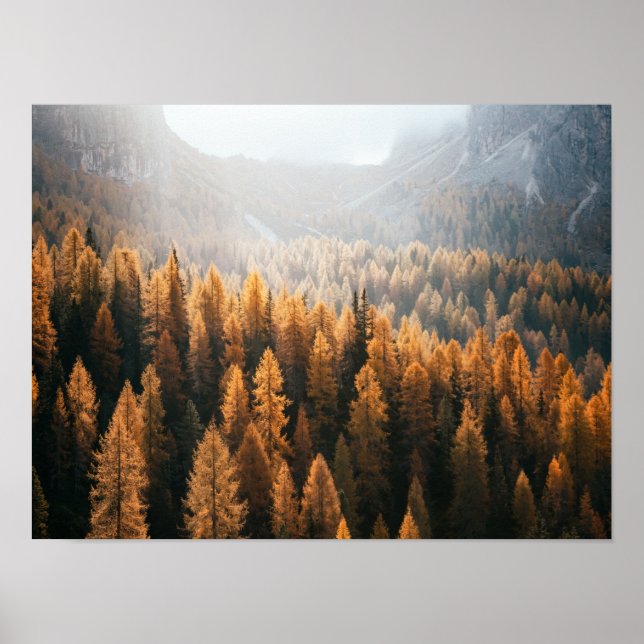 Poster Autumn Mountain View Com Laranjas Amarelas (Frente)