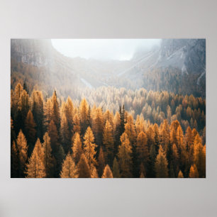 Poster Autumn Mountain View Com Laranjas Amarelas