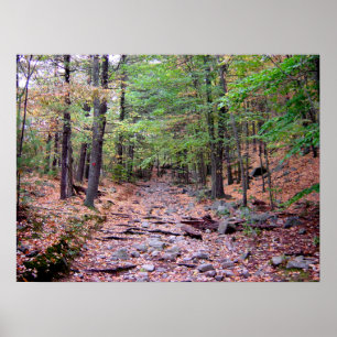 Poster Autumn on Blue Colinas Reservation Red Dot Trail