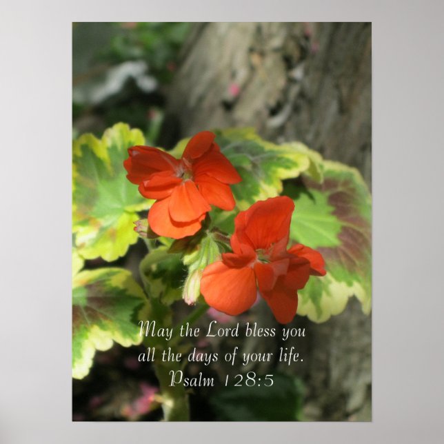 Poster Autumn Orange Geraniums ~ Salm 128:5 (Frente)