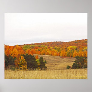 PÔSTER "AUTUMN PALETTE/MICHIGAN COUNTRYSIDE"