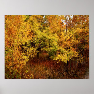 Poster Autumn Palette Poster/Print