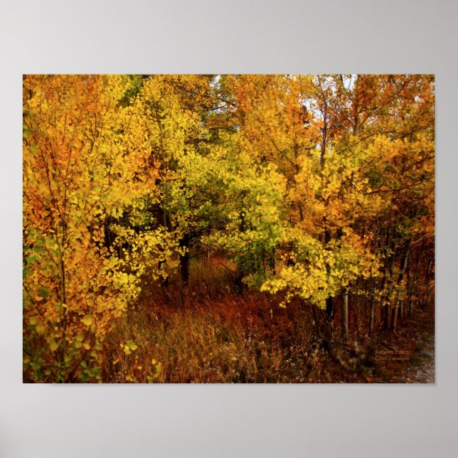 Poster Autumn Palette Poster/Print (Frente)
