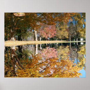 Poster Autumn Pond, Landscape, Updown