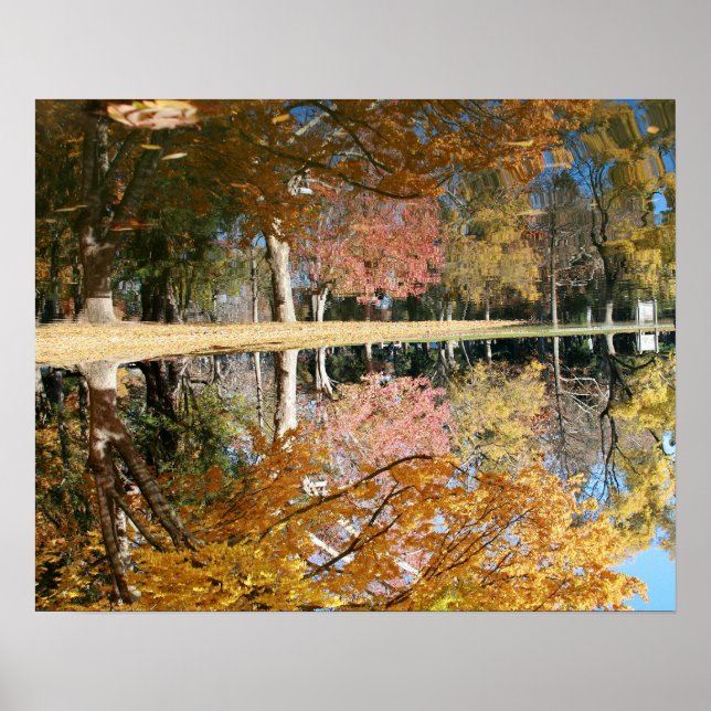 Poster Autumn Pond, Landscape, Updown (Frente)