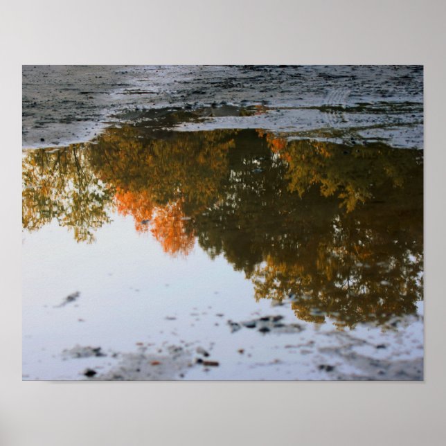 Poster Autumn Reflections In A Puddle Nature (Frente)