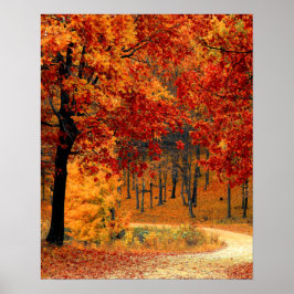Poster Autumn Road