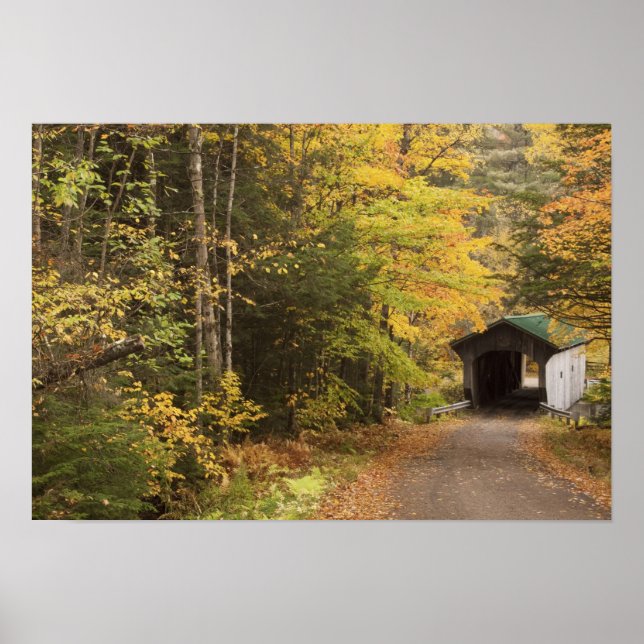 Pôster Autumn scape, Vermont, EUA 4 (Frente)