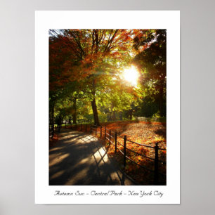 Poster Autumn Sun - Central Park - Nova Iorque