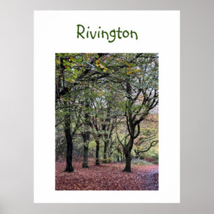 Poster Autumn Trees Rivington