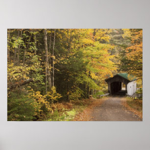 Pôster Autumn, Vermont, EUA 4