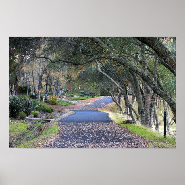 Pôster "Autumn Walk" (Frente)