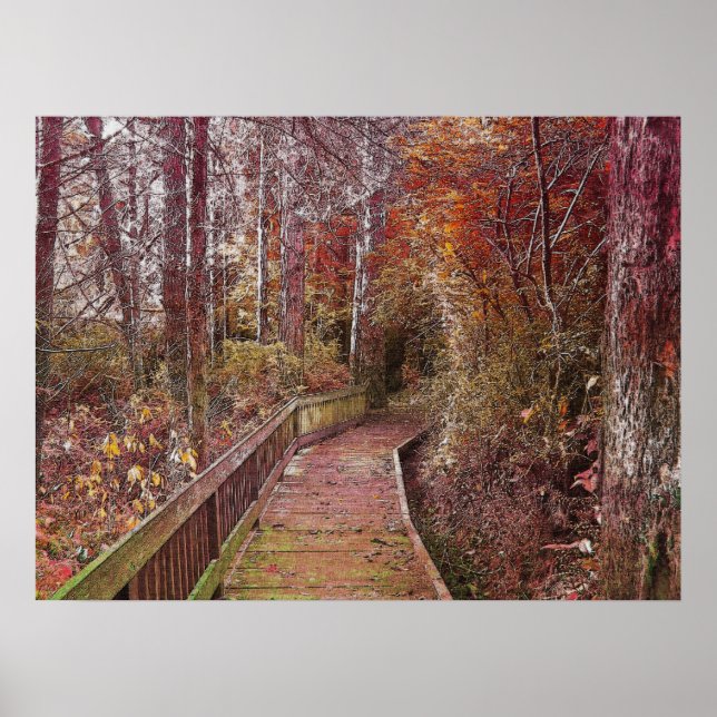 Poster Autumn Walk (Frente)