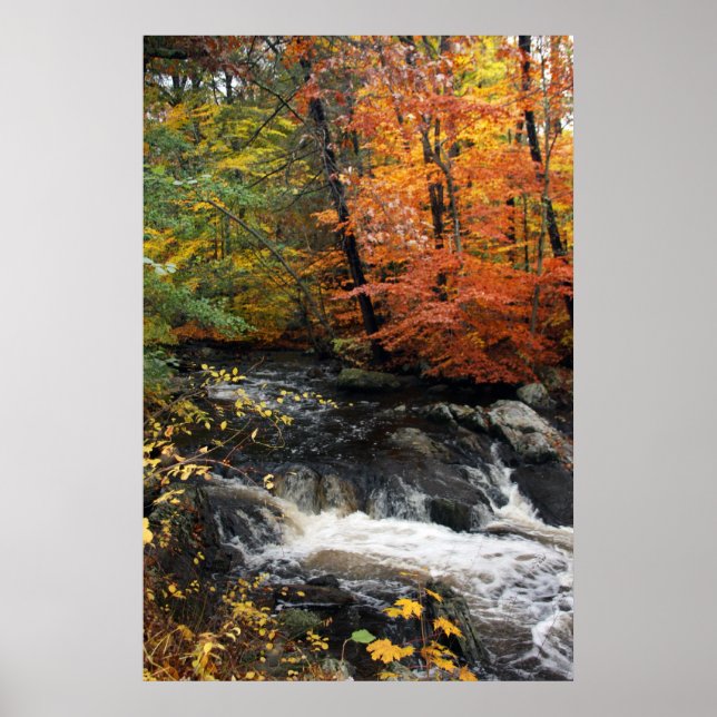 Poster Autumn Waterfall (Frente)