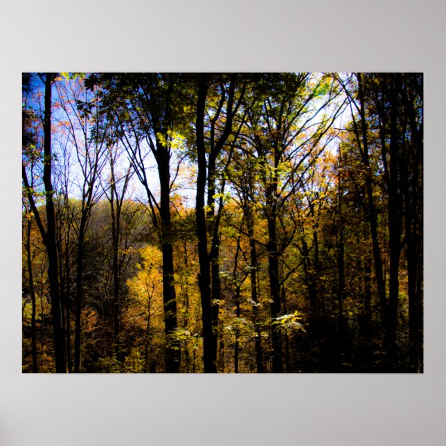 Poster Autumn Woods (Frente)