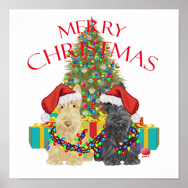 Pôster Auxiliares papais noeis (Frente)