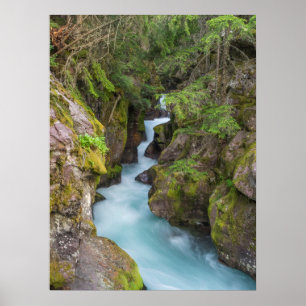 Poster Avalanche Creek, Parque Nacional Glacier, Montana