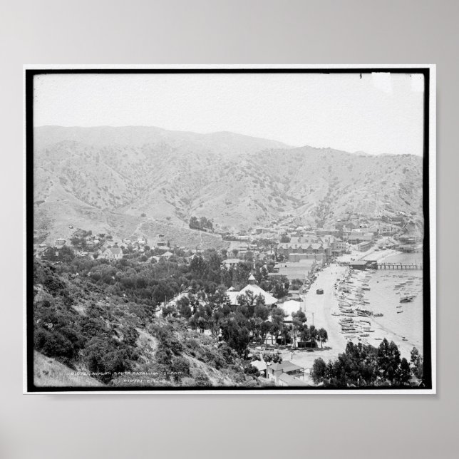 Poster Avalon, Papais noeis da Ilha Catalina c1903 (Frente)