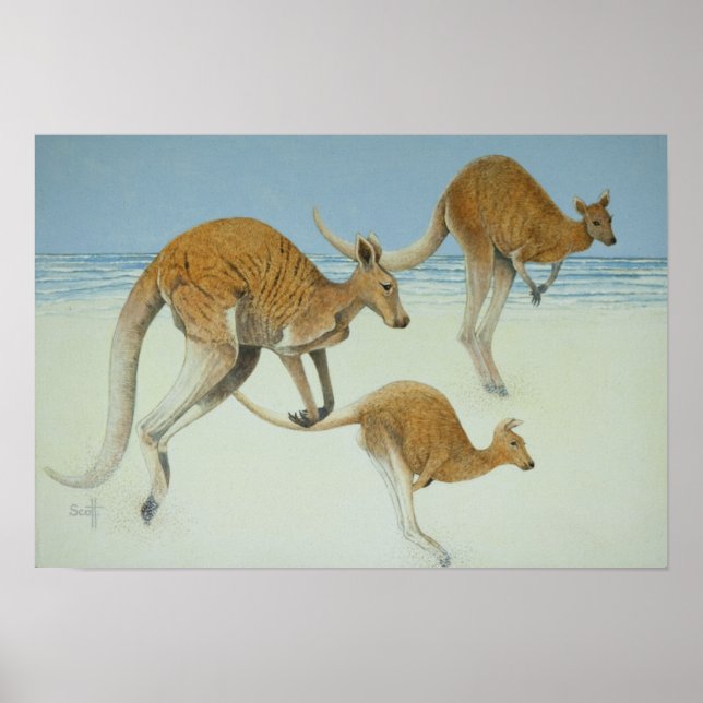 Poster Avançar (Frente)