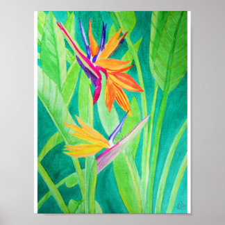 Poster Ave Aquarela de Flores de Paraíso
