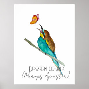 Poster Ave aquosa (apicultura europeia)