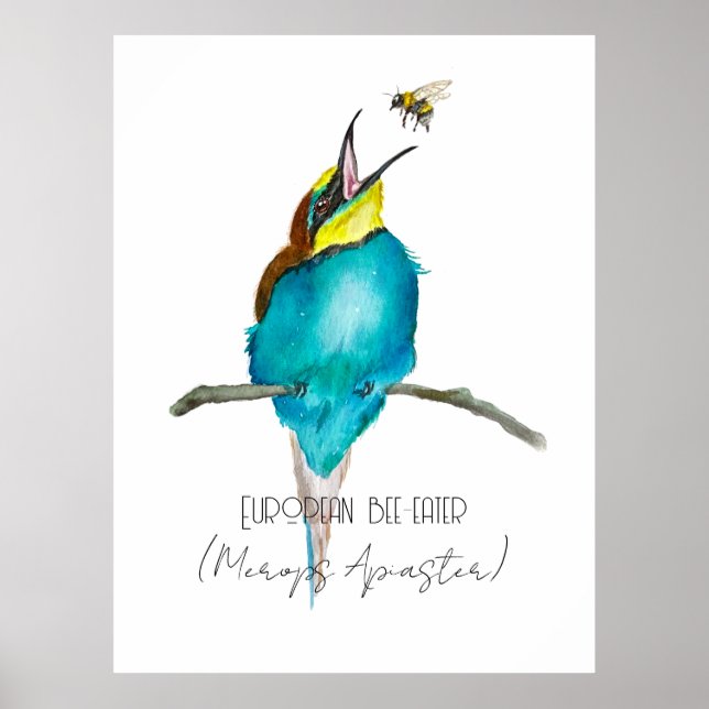 Poster Ave aquosa (apicultura europeia) (Frente)