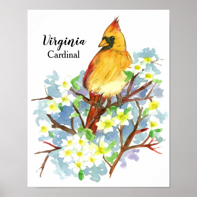 Poster Ave Estadual da Virgínia Female Cardinal Watercolo (Frente)