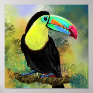 Poster Ave Tropical Toco Toucan Exótica - Pintura Migrad