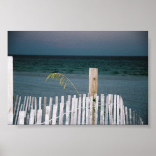 Poster aveia marinha