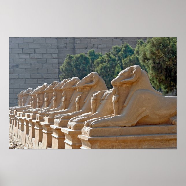 Poster Avenida das Esfinges no Templo de Karnak - Egito (Frente)