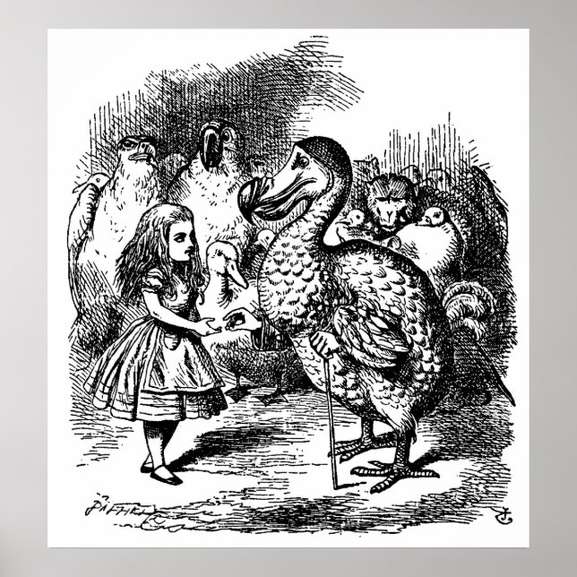 Poster Aventuras de Alice no País das Maravilhas (Frente)