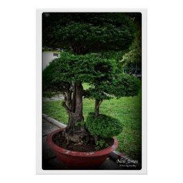 Pôster Aventuras Viagem Vietnamitas