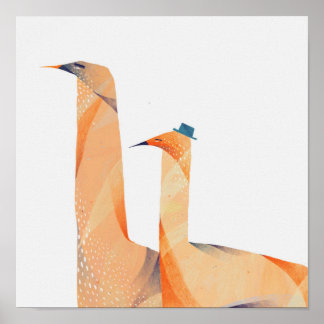 Poster Aves
